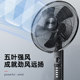 Diamond brand electric fan floor-standing fan silent household living room vertical commercial industrial large wind shaking head fan BY