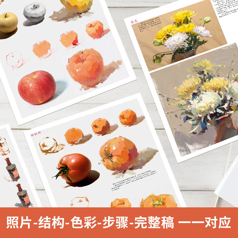 色彩临摹卡水粉色调风景静物单体组合 国美色稿照片对画临摹范本高考联考杭州美术绘画画册技法教程书教材教学书籍