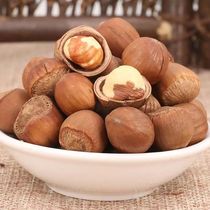 Northeastern large hazelnut long white mountain wild hazelnut.