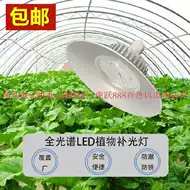 室内花棚 新人首单立减十元 21年8月 淘宝海外