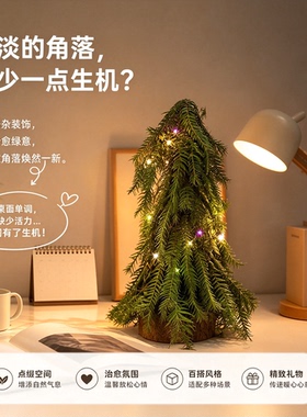 杉树叶小树型摆件亲子手作摆件