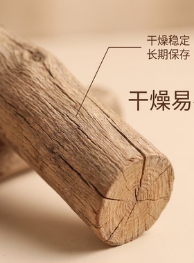 干桂花小树枝景观摆件拍摄装饰