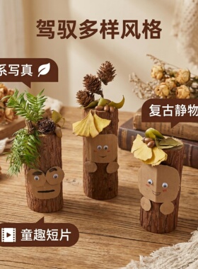 杉木桩人摆件造景配件森系静物