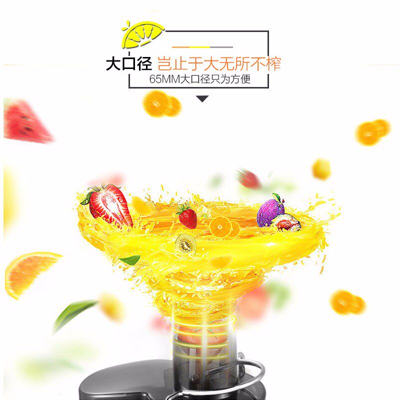 苏泊尔多功能炸果汁机迷你小型原杯 苏泊尔真牧榨汁机
