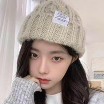 Snail Climbing Home Wool Cord Hat Children Winter Coarse Thread Knit Hat Autumn Winter Students Warm ear Baotou Cold hat