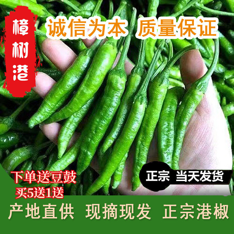正宗樟树港辣椒农产品白辣椒卜辣椒纯香辣手工制作自然熟无添加5