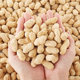 Longyan peanuts, garlic, five spices, sun-dried and boiled peanuts in shell, roasted nuts, cooked food, snacks, wholesale