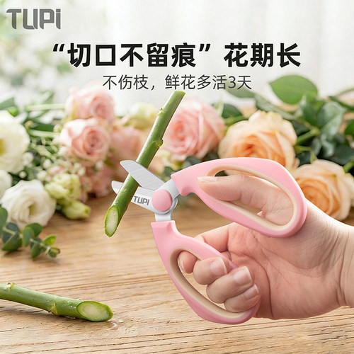 修树专用剪刀不锈钢果树枝剪刀园艺专业园林剪刀剪枝修花省力剪刀 - 图3