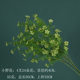 Luyin ceiling 10 green wedding flower arrangement flower arrangement
