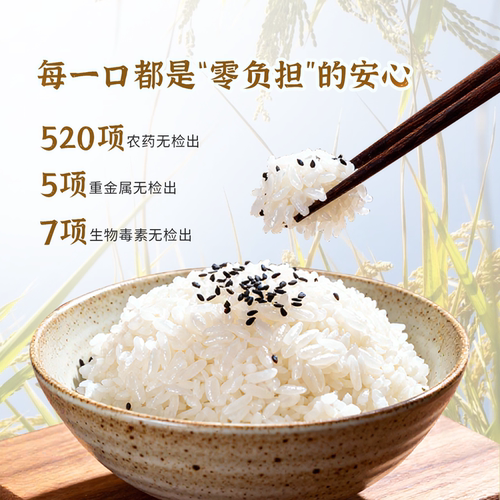 羊脂籽米2025新米新疆沙漠富硒胚芽米5kg软香优质粳米大米礼盒装 - 图1