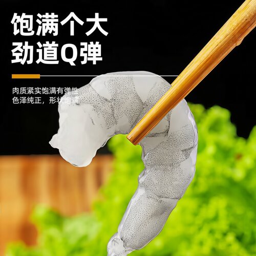 虾仁鲜冻去冰新鲜特大青虾仁现剥鲜活大虾特大速冻虾仁去虾线商用 - 图2