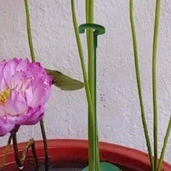 10pcs Potted Plant Support Racks Durable Floral Climbing - 图3