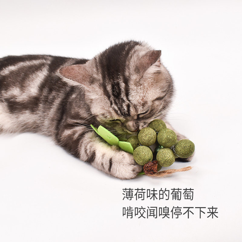 猫薄荷铃铛葡萄串猫咪啃咬磨牙洁齿玩具虫瘿果天然手工麻绳闻嗅,淘宝优惠券,粉丝福利购,淘宝优惠卷