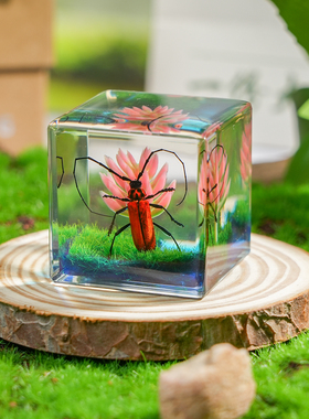 琥珀水晶滴胶树脂蝴蝶动物摆件