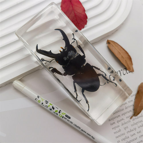 真特大号昆虫琥珀标本室内桌面摆件书镇儿童玩具生日礼物蝎子蜘蛛 - 图1