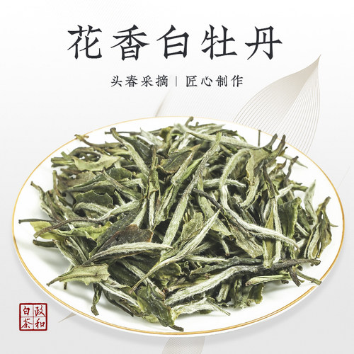 2024年新白茶特级白牡丹王白毫银针饼贡眉寿眉政和茶叶试喝茶样品-图1