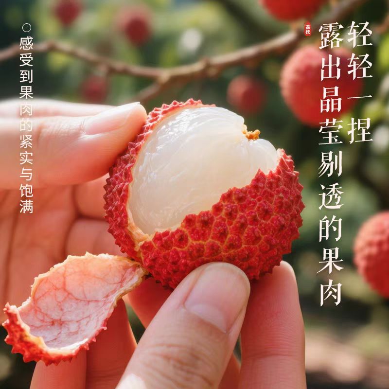 [顺丰包邮]黑叶荔枝5斤当季新鲜水果现摘老树整箱