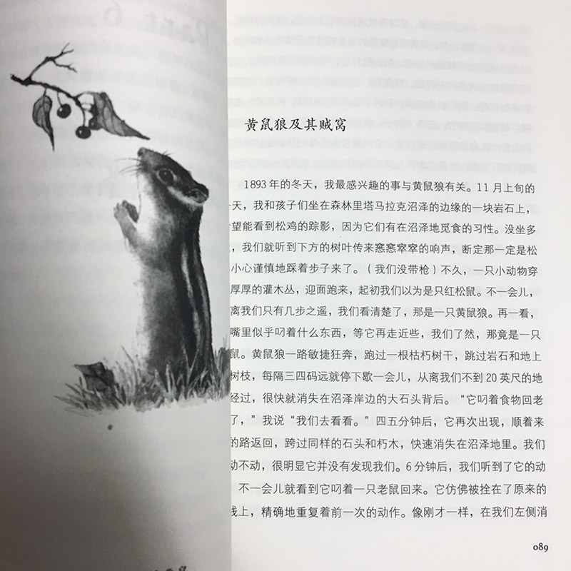 现货正版包邮 河畔小屋 约翰巴勒斯 著 自然文学作品麦田里的守望者心态感悟世界暑假阅读书走向大自然走进绿水青山书籍绿色环保wx