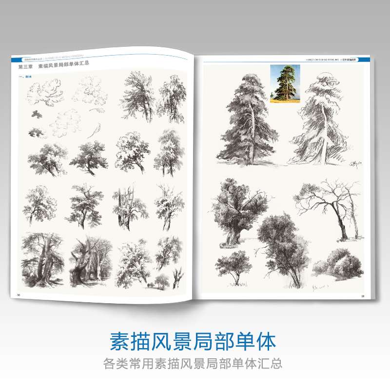 彦和出版杭州素描风景大师临摹速写书籍基础范本结构对画照片入门教材宝典精选单体局部写生范画对临联考国美院绘画册教材程书国美