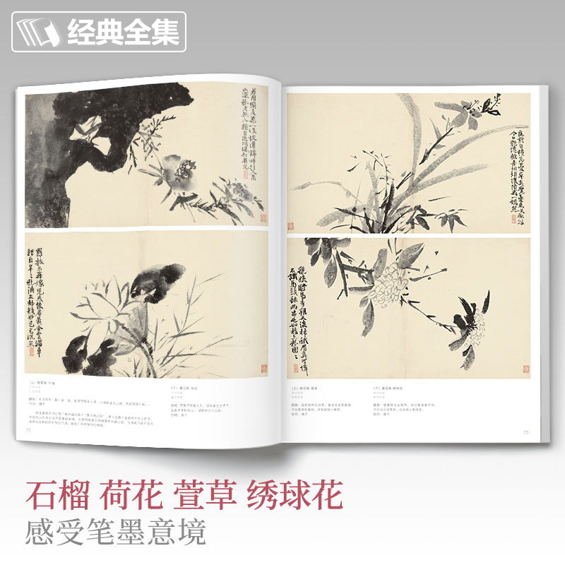 徐渭画集 8开中国画临摹画册书籍写意泼墨水墨国画杂花图花鸟技法教材程高清临本册页初学者花卉名作赏析鉴赏杨经典全集建飞主编-图3