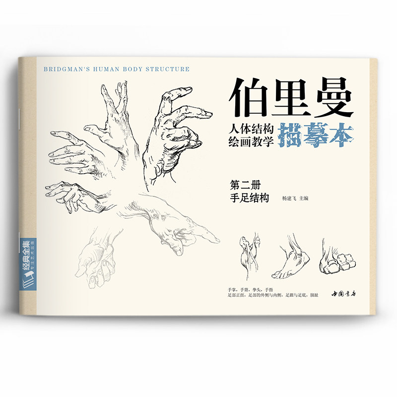 伯里曼人体结构教学描摹本【4册全套】 正版速写人物结构绘画练习教程教材 杨建飞主编 - 图2
