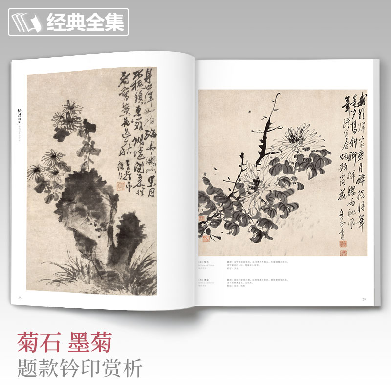 徐渭画集 8开中国画临摹画册书籍写意泼墨水墨国画杂花图花鸟技法教材程高清临本册页初学者花卉名作赏析鉴赏杨经典全集建飞主编-图2