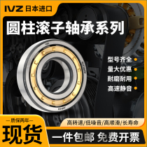 Japan imports IVZ cylindrical roller bearings NU218 219220221222224226228 EM