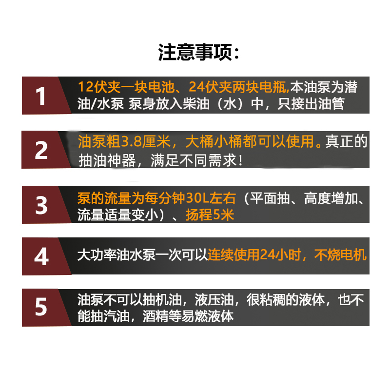 小型抽油泵12V24付220V抽柴油 水泵 电动油抽子 神器 加油机38型 - 图1