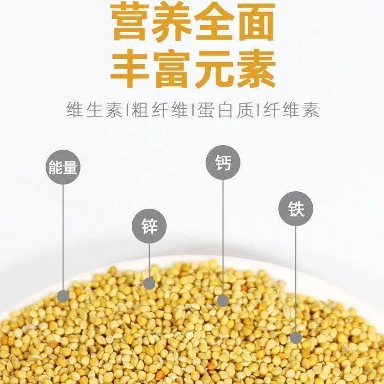 鹦鹉营养粮带壳黄谷子小米鸟粮训练奖励虎皮玄凤鹦鹉专用鸟零食,淘宝优惠券,粉丝福利购,淘宝优惠卷