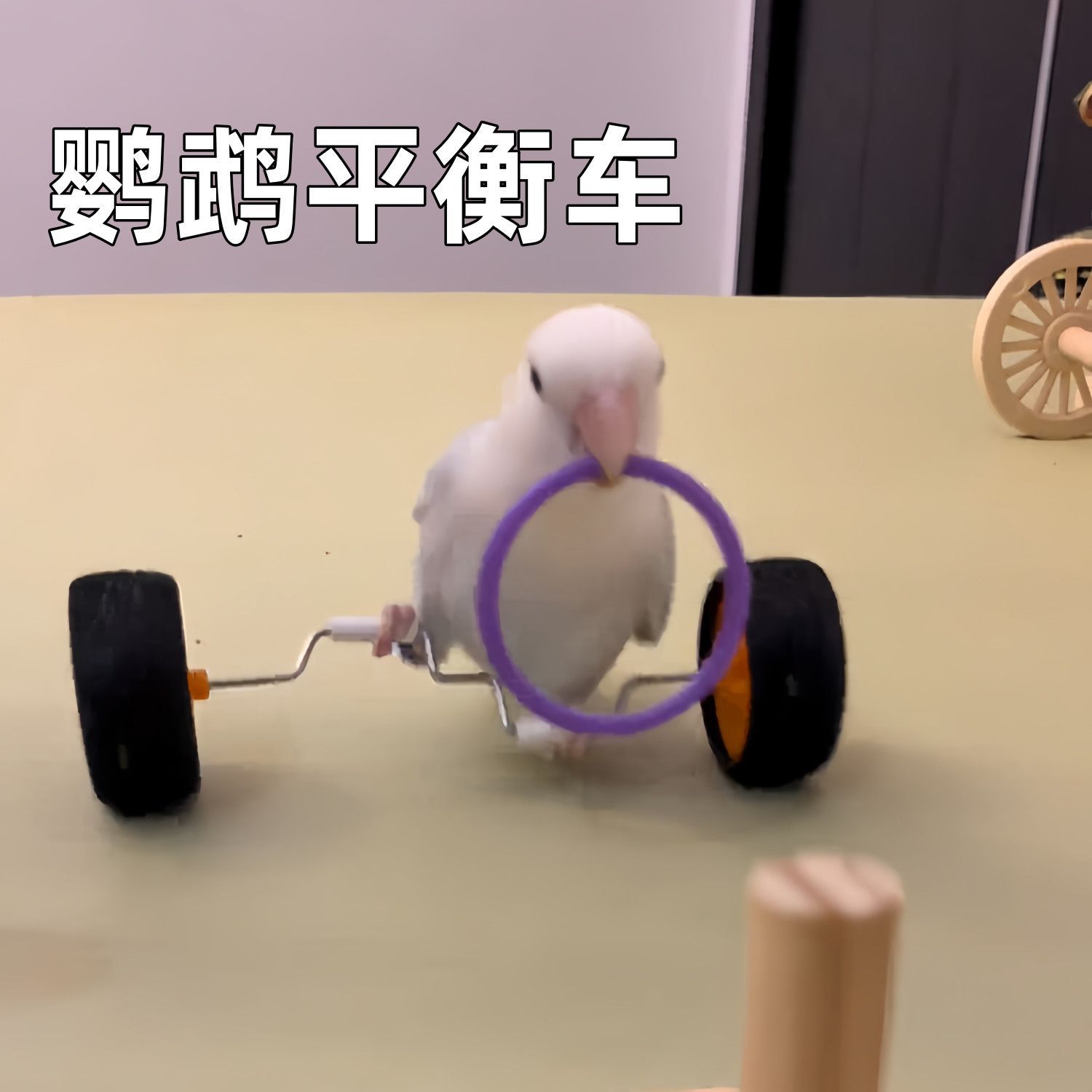 Parrot toy balance car to relieve boredom, companionship, educational props, peony and tiger skin scooter, skill training for black phoenix birds