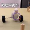 Parrot toy balance car to relieve boredom, companionship, educational props, peony and tiger skin scooter, skill training for black phoenix birds