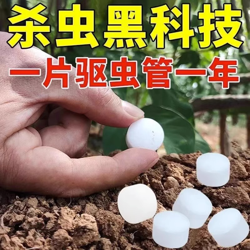 防虫片家用园艺防小黑虫飞蚜虫白粉虱蛾飞虫小菜家用盆栽绿植花卉-图3