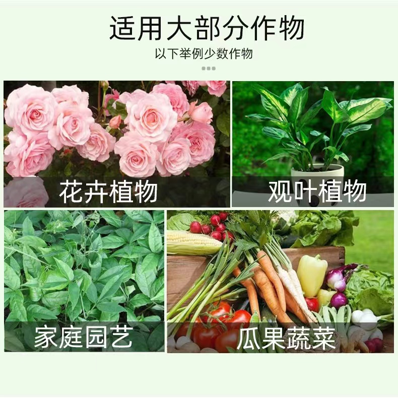 防虫片家用园艺防小黑虫飞蚜虫白粉虱蛾飞虫小菜家用盆栽绿植花卉-图0