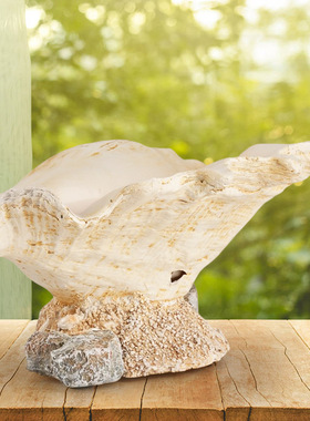 仿真海螺花盆 摆件 复古田园风 旅游家居摆件 装饰工艺品