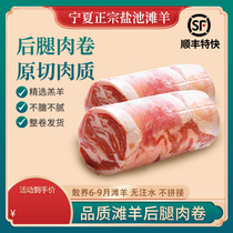 Fresh Now Kill Original Cut Lamb Pure Mutton Rolls Mutton Ningxia Salt Pond Beach Goat Meat Hot Pot Food Ingredients Whole 5 catties
