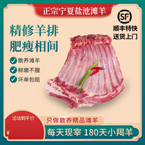 Fresh Now Kill Ningxia Salt Pond Beach Goat Meat Small Lamb Sheep Rows Fresh 5 Catty Beachers Grilled Sheep Steak Barbecue Rib Platoon