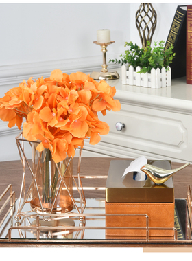 美式现代客厅轻奢镜面托盘