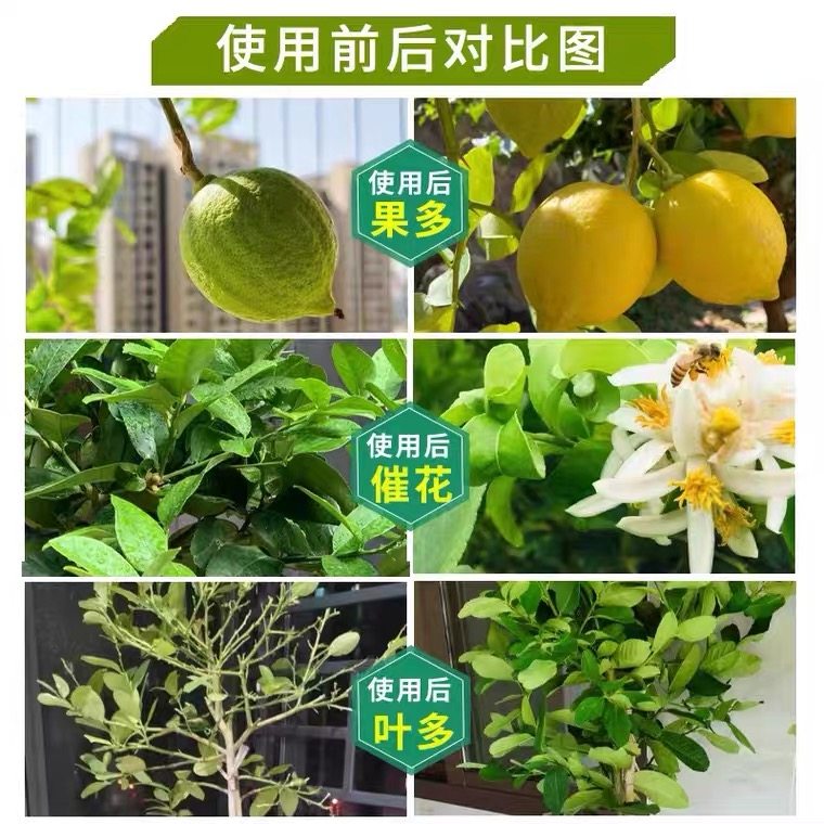 复合肥蔬菜农用种菜果树专用肥料养花化肥氮磷钾三元有机肥通用型,淘宝优惠券,粉丝福利购,淘宝优惠卷