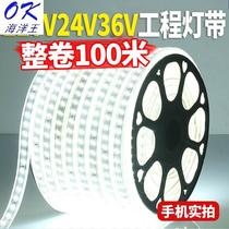 Marine king LED light with 220v outdoor waterproof basement tunnel site brightening decorative lighting white light strip 2