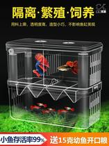 Fish Fry Incubators Peacock Fish Transparent Propagation Boxfish Isolate Acrylic Double Layer Hatchbox Special