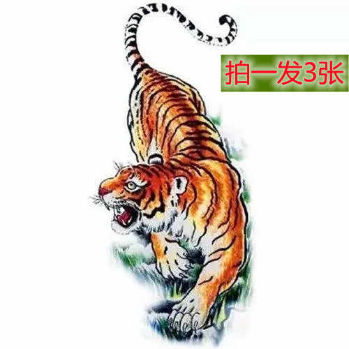 纹身贴虎 新人首单立减十元 21年7月 淘宝海外 纹身贴虎 新人首单立减十元 21年7月 淘宝海外