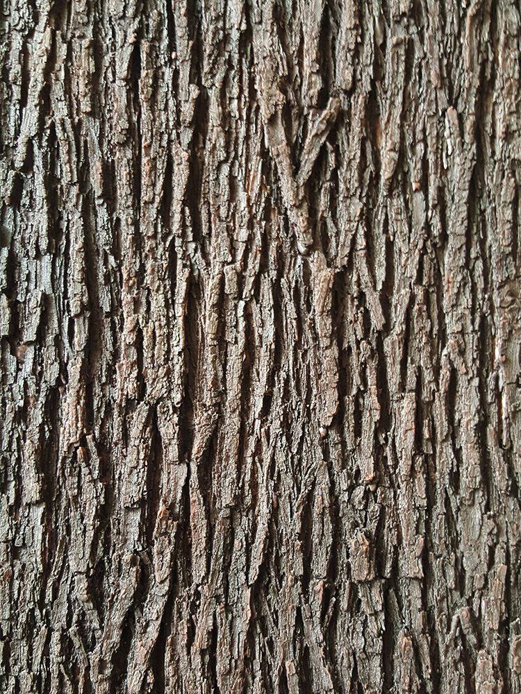 仿真树皮管道装饰包柱子遮挡假树贴墙面室内外水管装饰道具假树皮,淘宝优惠券,粉丝福利购,淘宝优惠卷