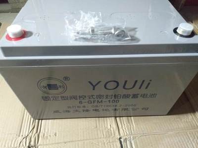 YOUliFM/GFM系列12V24A38A50A65A100A120A200AH EPSUPS - 图0