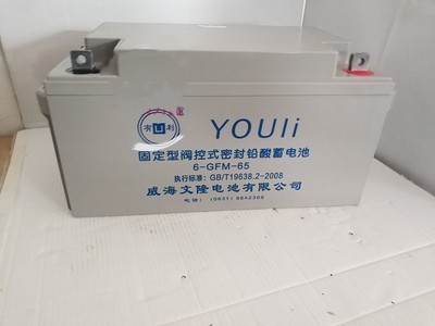 YOUliFM/GFM系列12V24A38A50A65A100A120A200AH EPSUPS - 图3