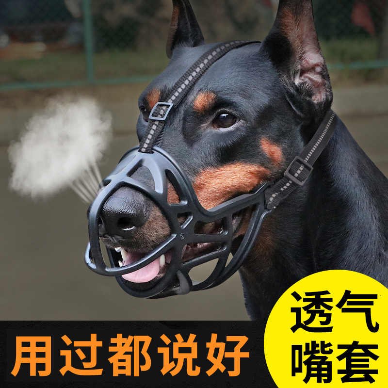宠物犬口罩 新人首单立减十元 21年9月 淘宝海外
