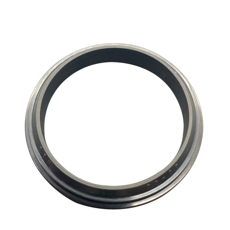 KASTAS尘封密封圈K10 GPW W17 丁晴L橡胶液压油缸双台阶防尘圈油 - 图0