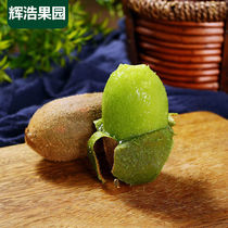 Shaanxi Green Heart Chic Exotic Fruit When Season of Exotic Fruits Should Season Fresh Fruit Puree Monkey Peach A Whole Box