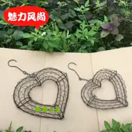 心形多肉植物 新人首单立减十元 21年7月 淘宝海外