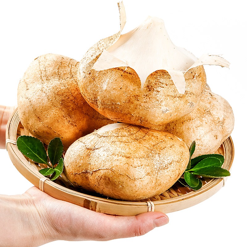 广西凉薯新鲜现挖白地瓜萝卜9斤农家特产清甜水果土番薯白心即食 - 图3