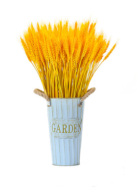 天然黄金麦穗干花花束开业大麦客厅田园装饰摆件干花插花拍摄道具